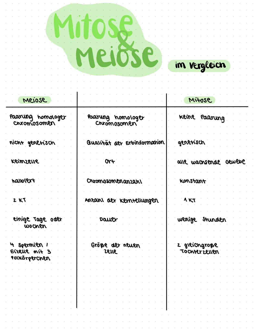 liologic ●
●
Themen
klassische Genetik:
• Fachworte
●
● Rekombination
Meiose (182-184)
Mitose
(185) & Aufgaben 5.186
Trisomie
Mutationen (19