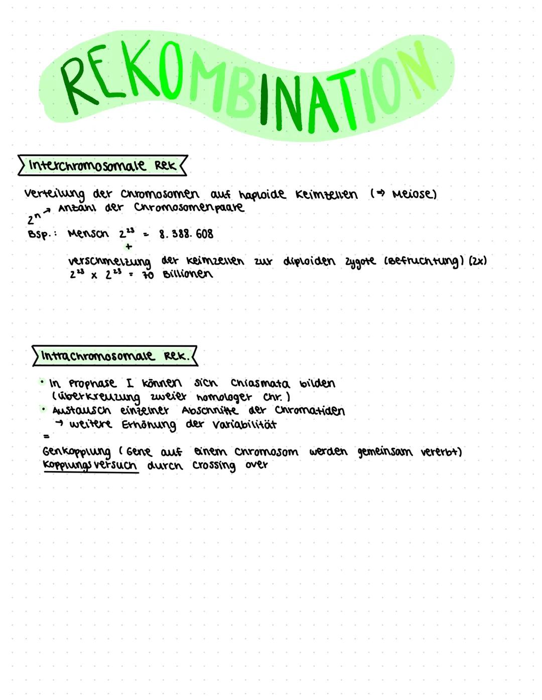 liologic ●
●
Themen
klassische Genetik:
• Fachworte
●
● Rekombination
Meiose (182-184)
Mitose
(185) & Aufgaben 5.186
Trisomie
Mutationen (19