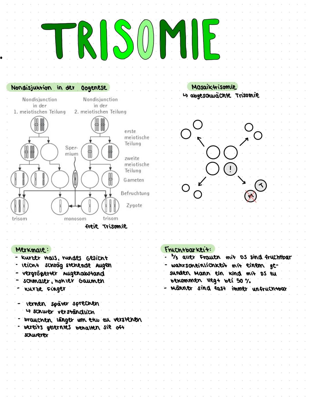 liologic ●
●
Themen
klassische Genetik:
• Fachworte
●
● Rekombination
Meiose (182-184)
Mitose
(185) & Aufgaben 5.186
Trisomie
Mutationen (19