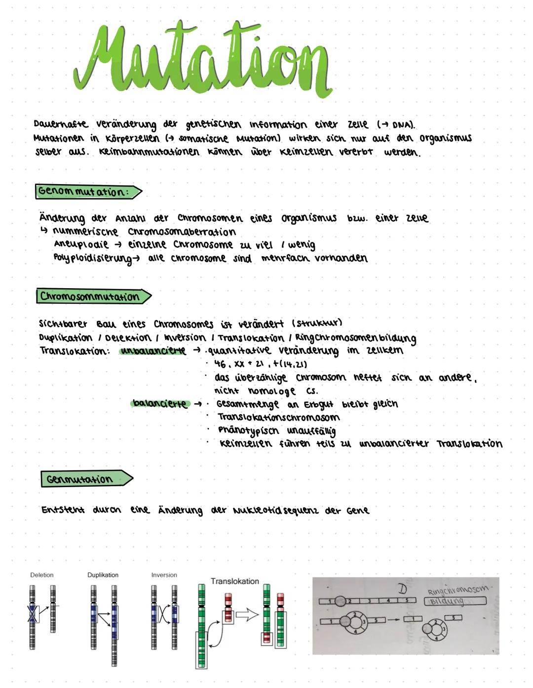 liologic ●
●
Themen
klassische Genetik:
• Fachworte
●
● Rekombination
Meiose (182-184)
Mitose
(185) & Aufgaben 5.186
Trisomie
Mutationen (19