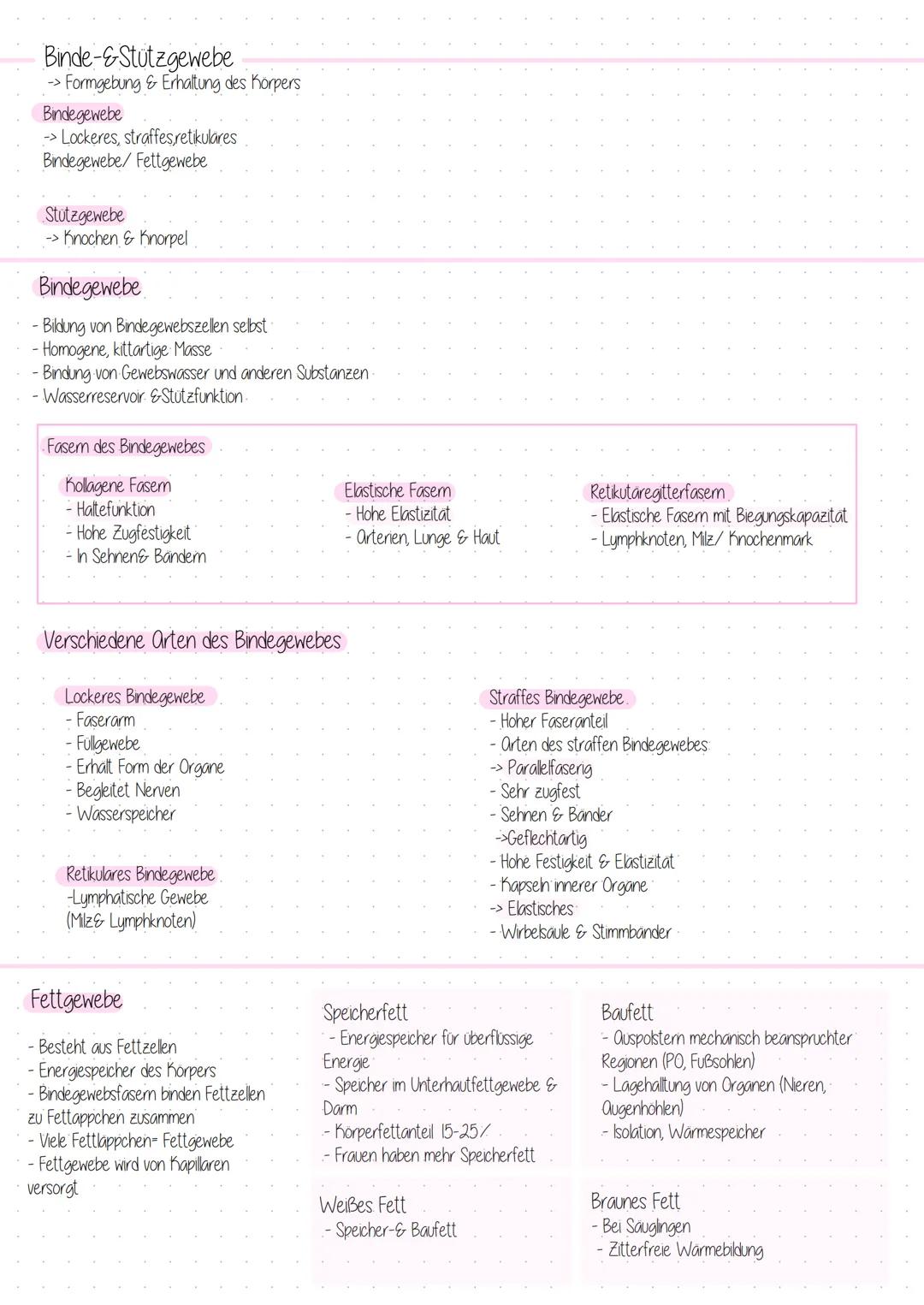 Gewebe
-> Vier verschiedene Grundgewebe
Epithelgewebe/ Binde-&-Stutzgewebe/ Muskeln/ Nerven
Epithelgewebe
Deckgewebe
-Bedeckt Körperoberfläc