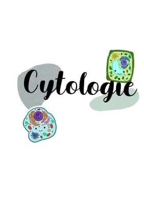 Know Cytologie Oberstufe thumbnail