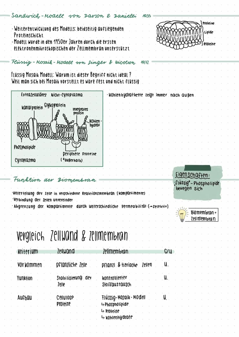 Cytologic 1.1 Uhsphung des Lebens
LUCA Last universial Common Ancestor
Survorfahr aller organismen
im Meer entstanden
Beispiele
Name des
Zel
