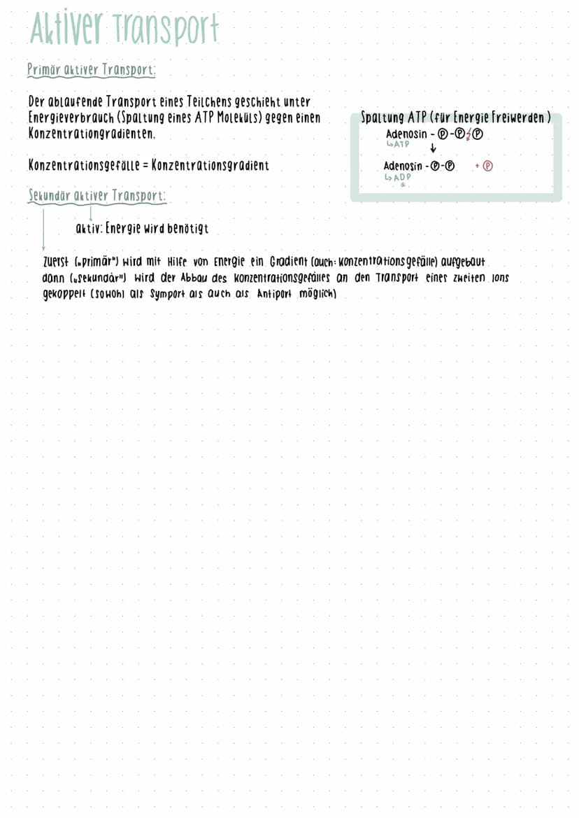 Cytologic 1.1 Uhsphung des Lebens
LUCA Last universial Common Ancestor
Survorfahr aller organismen
im Meer entstanden
Beispiele
Name des
Zel