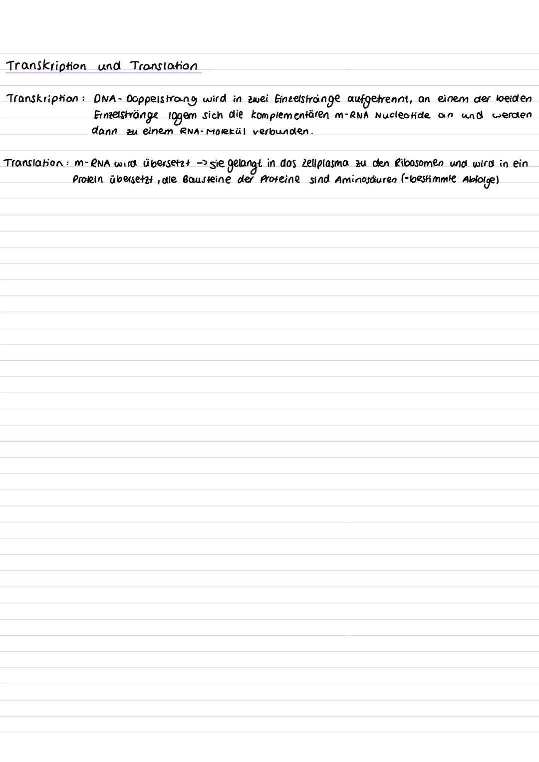 Chromosom
·kurzer Arm
centromer
-Querbonden = Chromatiden
·langer Arm
genetik
homologe Chromosomen: zwei Chromosomen die aufgrund ihrer Größ