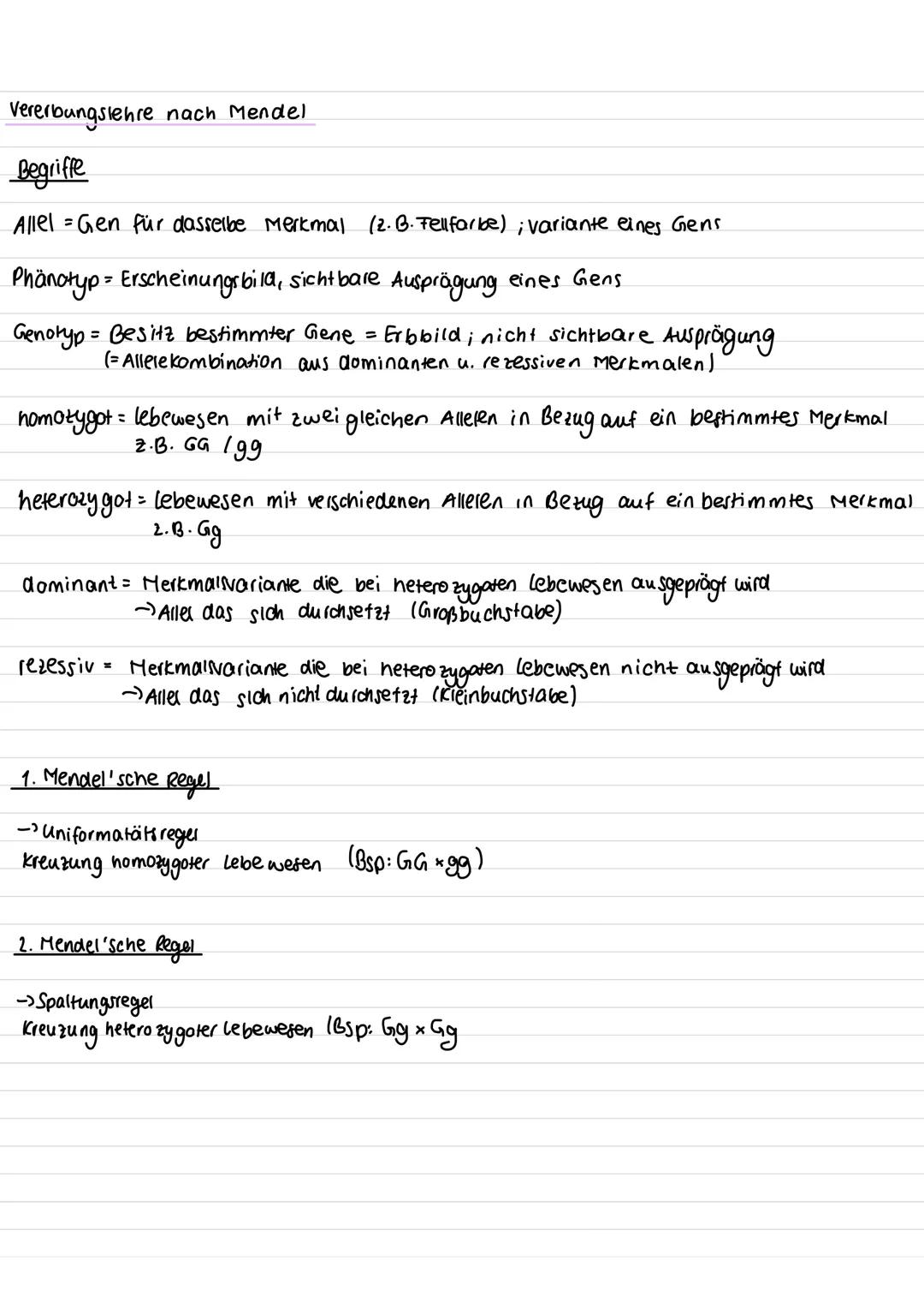 Chromosom
·kurzer Arm
centromer
-Querbonden = Chromatiden
·langer Arm
genetik
homologe Chromosomen: zwei Chromosomen die aufgrund ihrer Größ