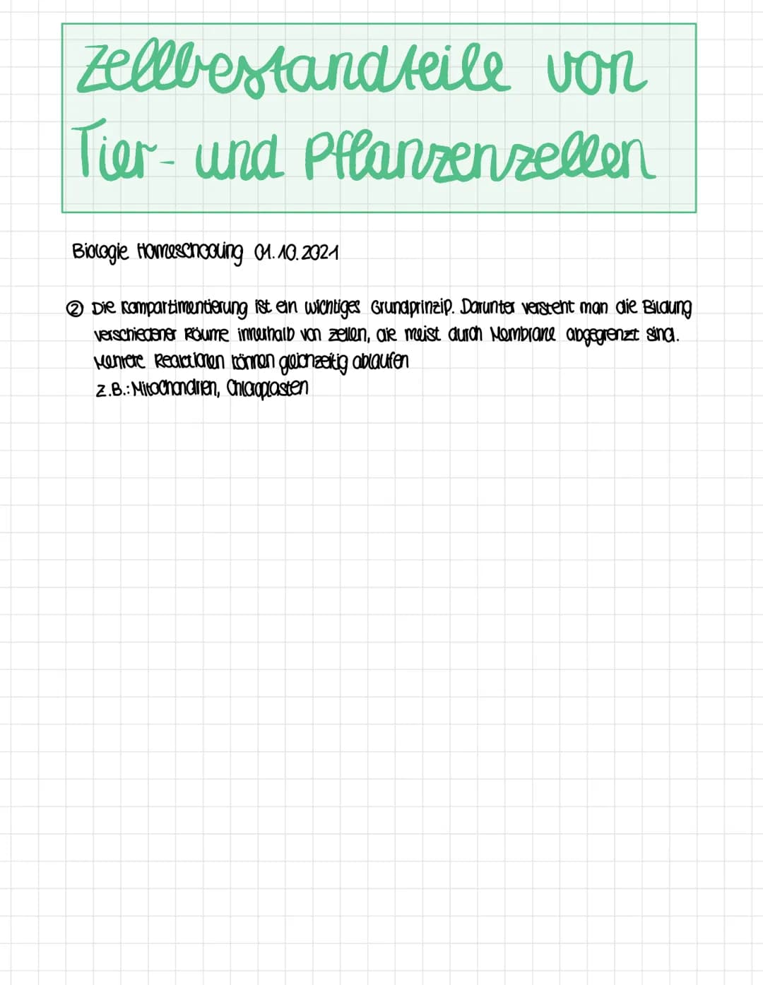 MZD
Nr.
1
2
3
4
5
A Schema einer Pflanzenzelle
6
7
8
9
B
(14)
10
13
B
(12)
Ribosomen
Zellbestandteil
Das Endoplasmatische
Retikulum
Biologie