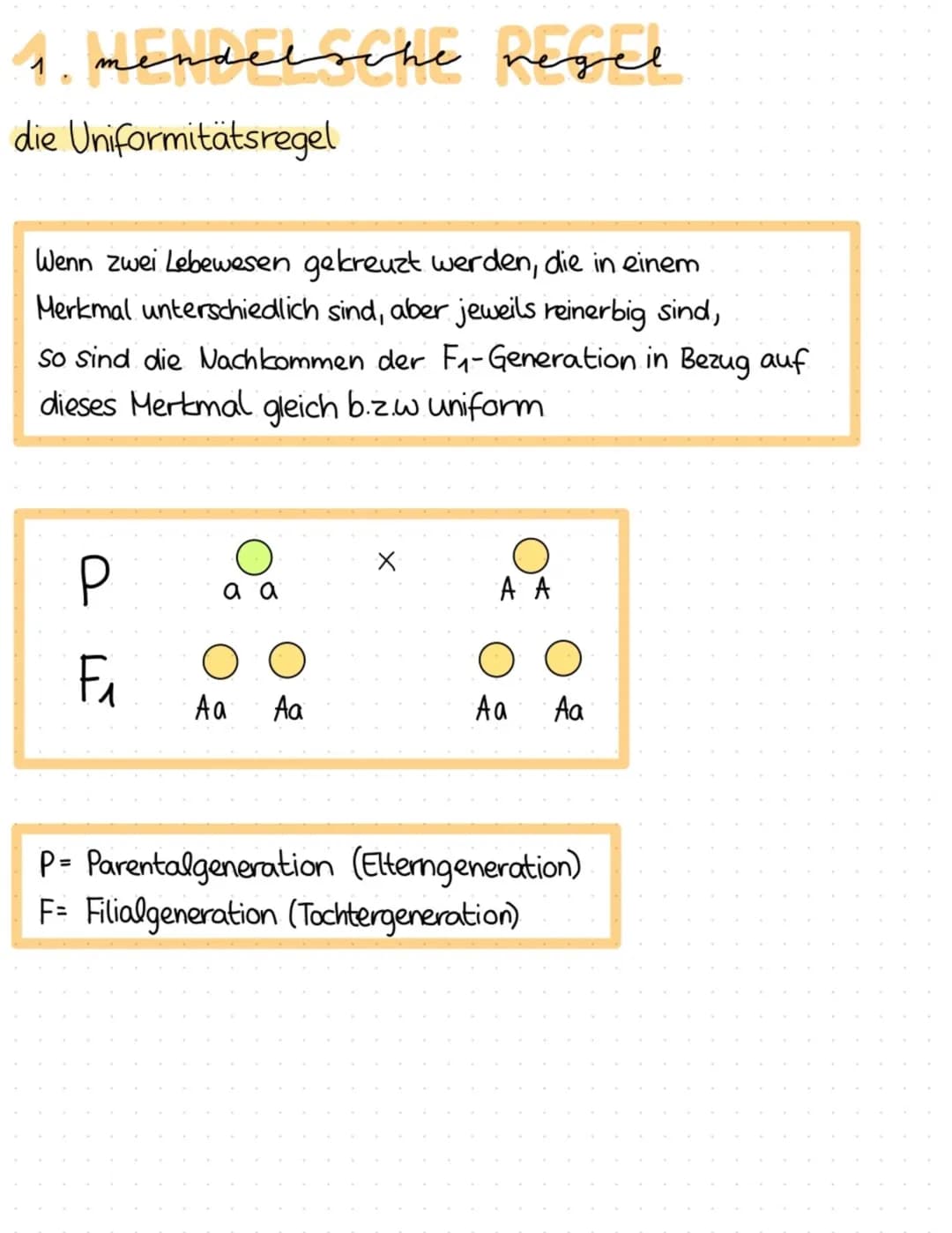 Mendelsche Regeln