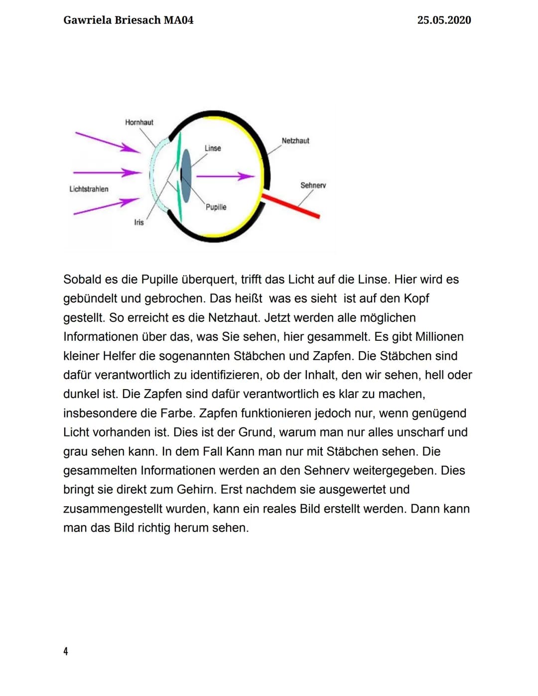 A
AUGENOPTIKER
Gawriela Briesach MA04
25.05.2020
9.KLASSE - Physik Gawriela Briesach MA04
1
Inhaltsverzeichnis
Berufsbeschreibung/Ausbildung