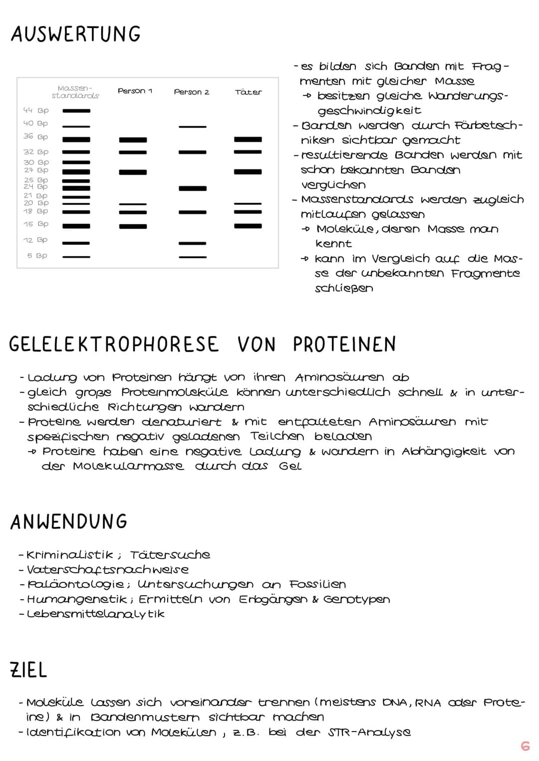 GENTECHNIK
Biologie
Klausur Genetik
1. Polymerase - Ketten- Reaktion (PCR) 15.1-2
2. Restriktionsenzyme IS. 3-4
3. Gelelektrophorese IS.5-6

