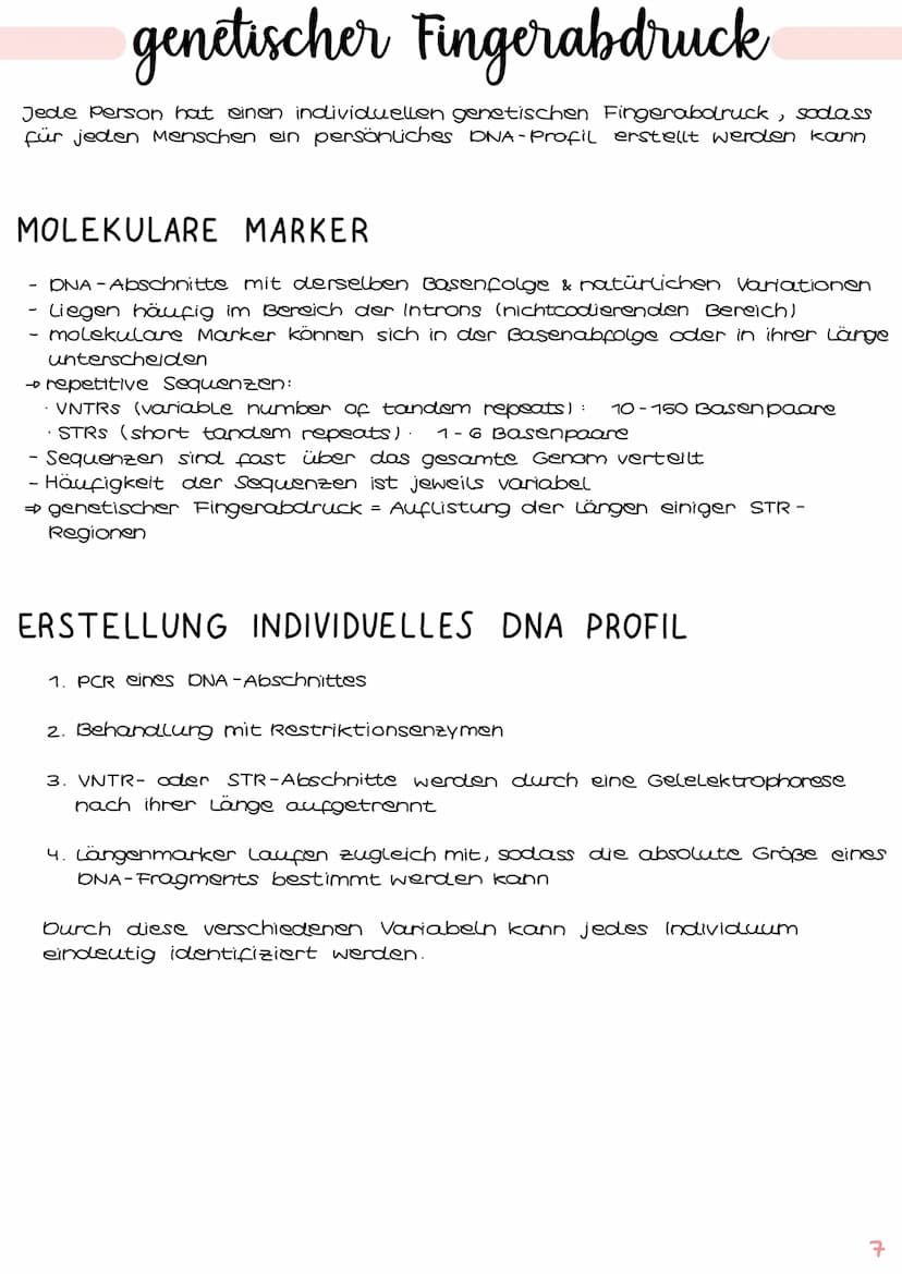 GENTECHNIK
Biologie
Klausur Genetik
1. Polymerase - Ketten- Reaktion (PCR) 15.1-2
2. Restriktionsenzyme IS. 3-4
3. Gelelektrophorese IS.5-6
