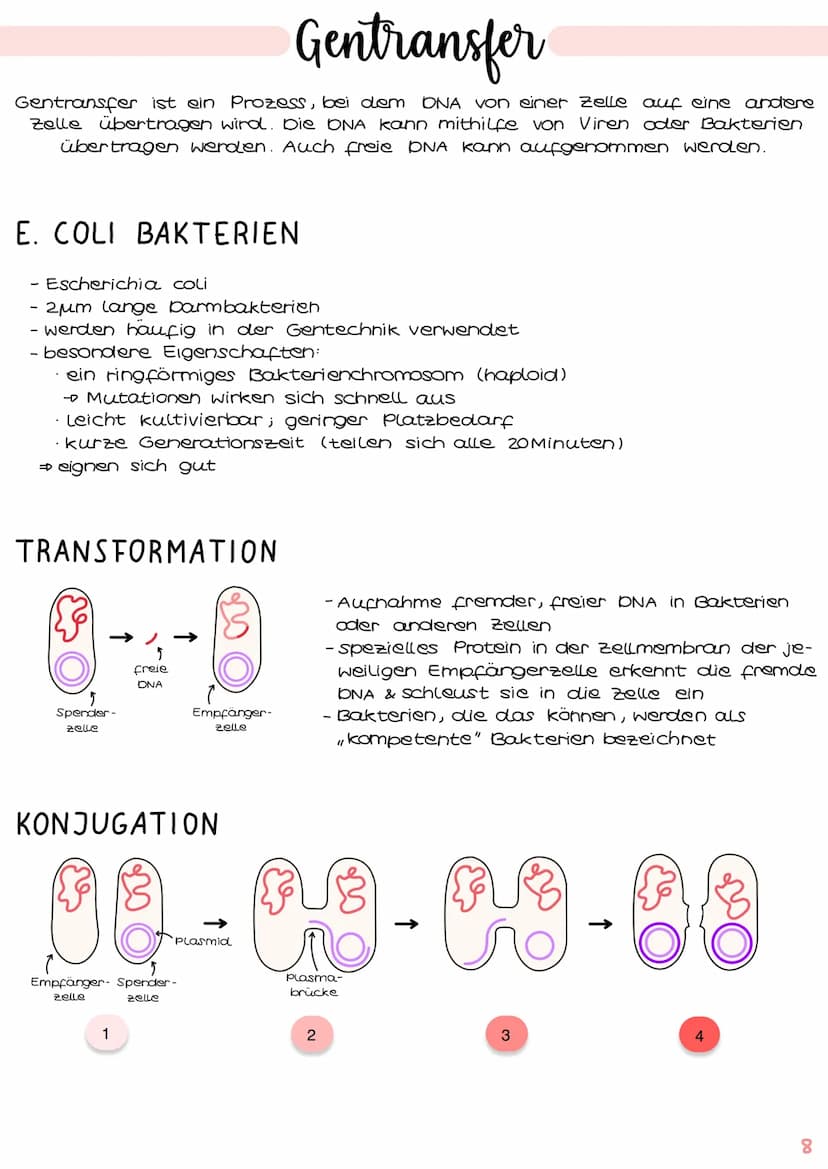 GENTECHNIK
Biologie
Klausur Genetik
1. Polymerase - Ketten- Reaktion (PCR) 15.1-2
2. Restriktionsenzyme IS. 3-4
3. Gelelektrophorese IS.5-6

