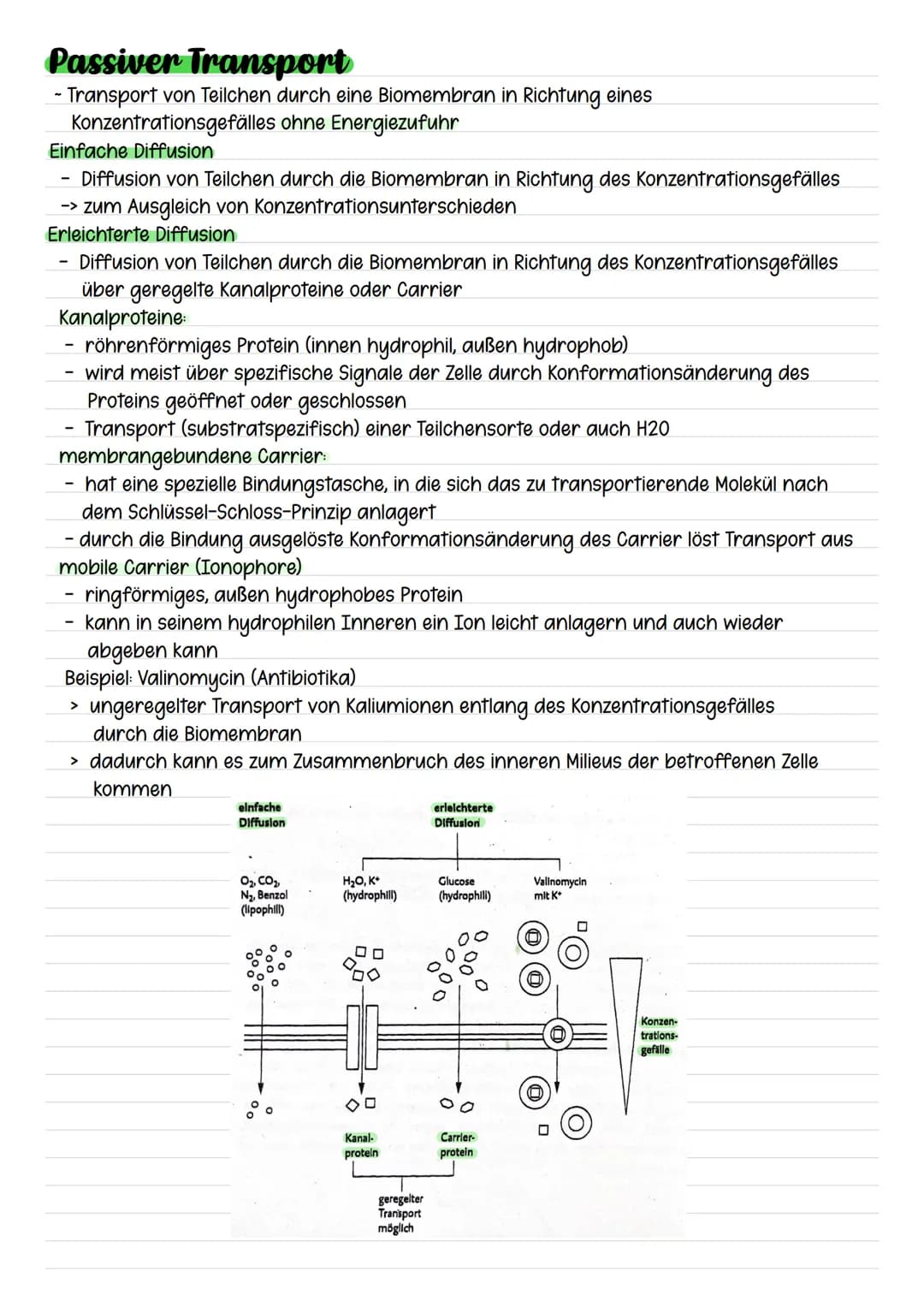 Passiver Transport
- Transport von Teilchen durch eine Biomembran in Richtung eines
Konzentrationsgefälles
ohne Energiezufuhr
Einfache Diffu