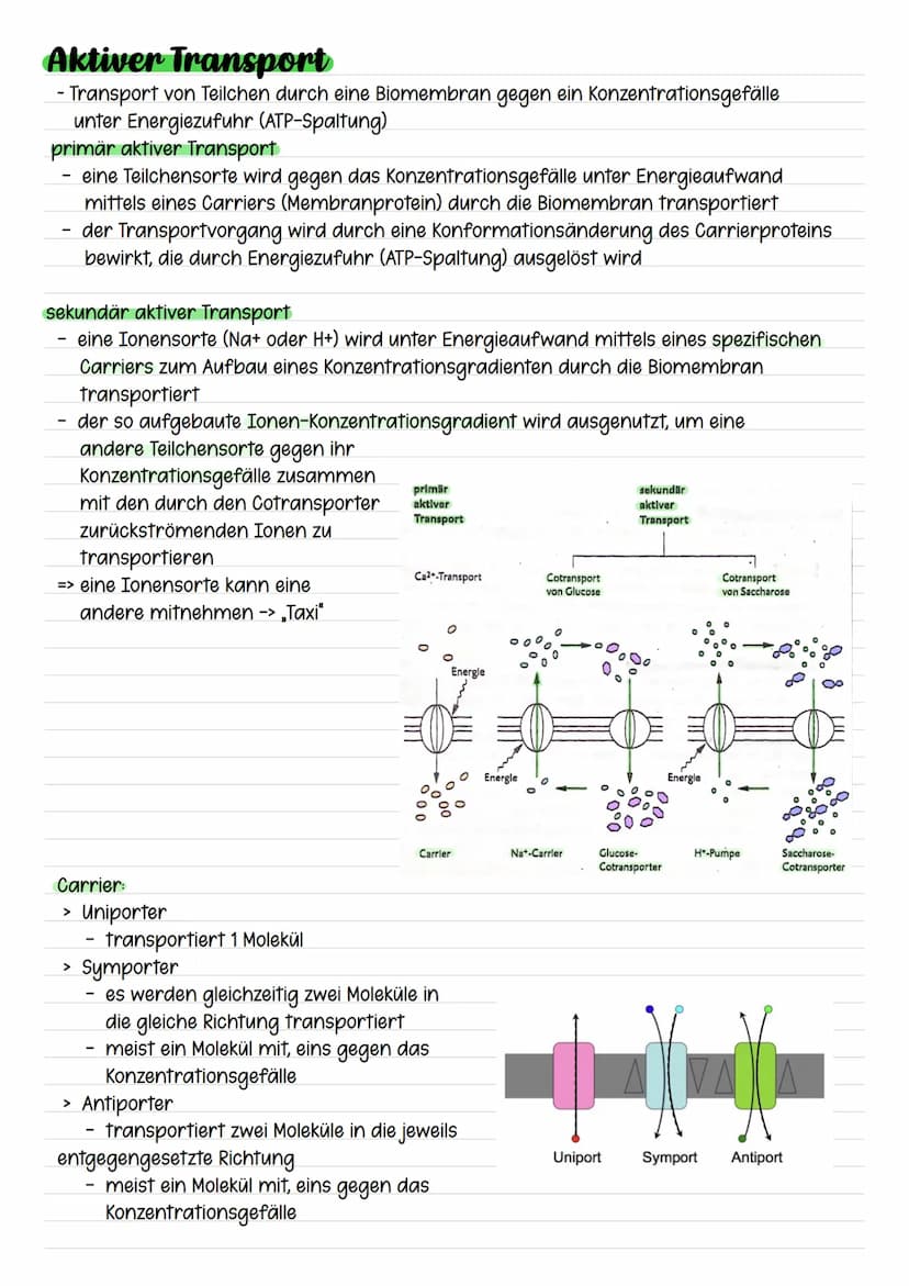 Passiver Transport
- Transport von Teilchen durch eine Biomembran in Richtung eines
Konzentrationsgefälles
ohne Energiezufuhr
Einfache Diffu