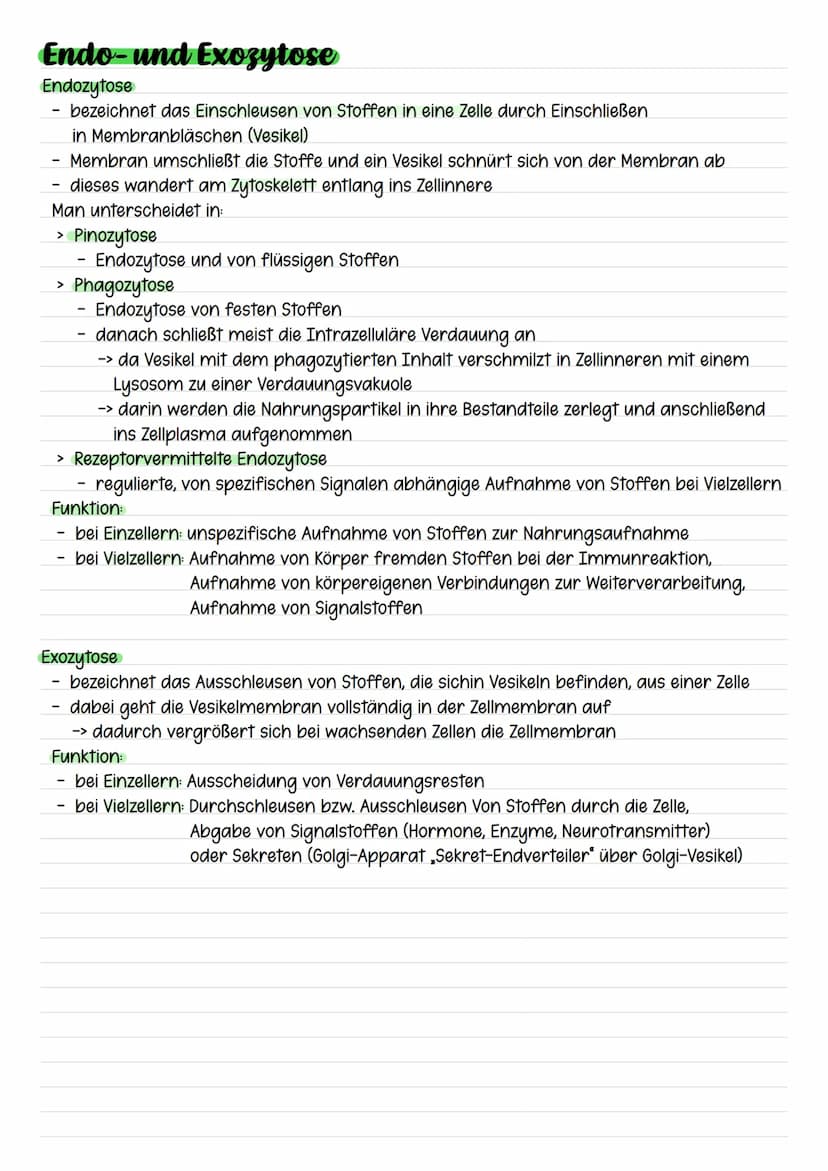 Passiver Transport
- Transport von Teilchen durch eine Biomembran in Richtung eines
Konzentrationsgefälles
ohne Energiezufuhr
Einfache Diffu