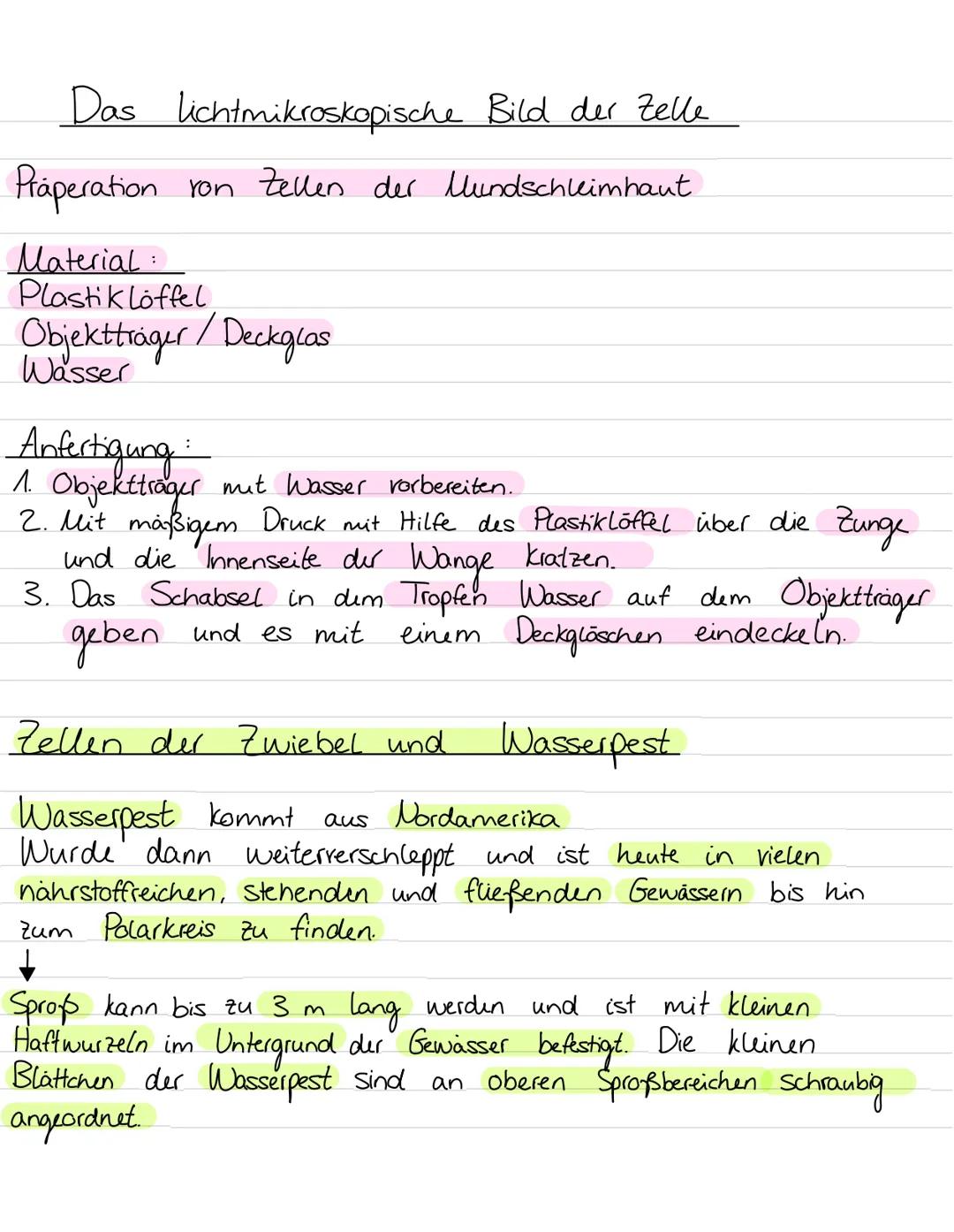 Aufbau von
Ribosomen
Endoplasmatisches
Retikulum
B
Zellwand
Zellmembran
my
ST
Vesikel
Golgiapparat
Biologie Leinzettel
Zellorganellen:
Chlor