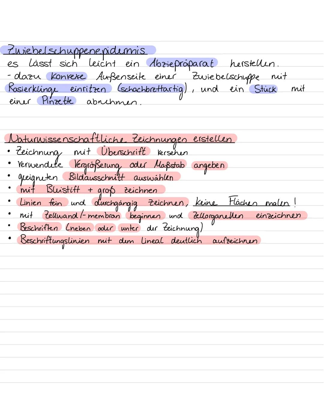 Aufbau von
Ribosomen
Endoplasmatisches
Retikulum
B
Zellwand
Zellmembran
my
ST
Vesikel
Golgiapparat
Biologie Leinzettel
Zellorganellen:
Chlor