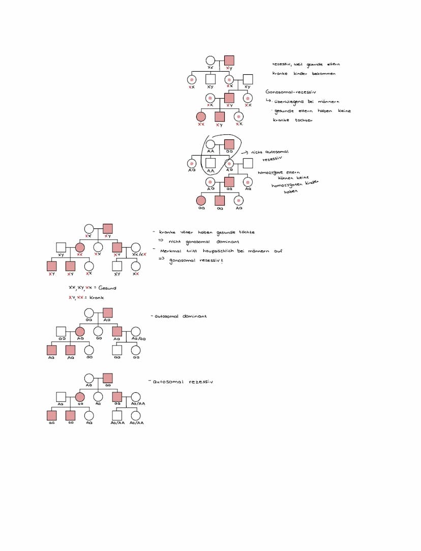Aa
aa
XY
aa
gh
00
xx/xx
XX
xx
XX/XX
AQ
aa
AQ
AA/AQ aa
AA/Aa
XY
kann nicht gonosomal sein:
kranke Väter haben immer kranke töchter (dominant)