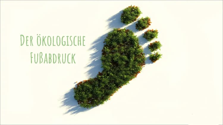 Know Der ökologische Fußabdruck  thumbnail