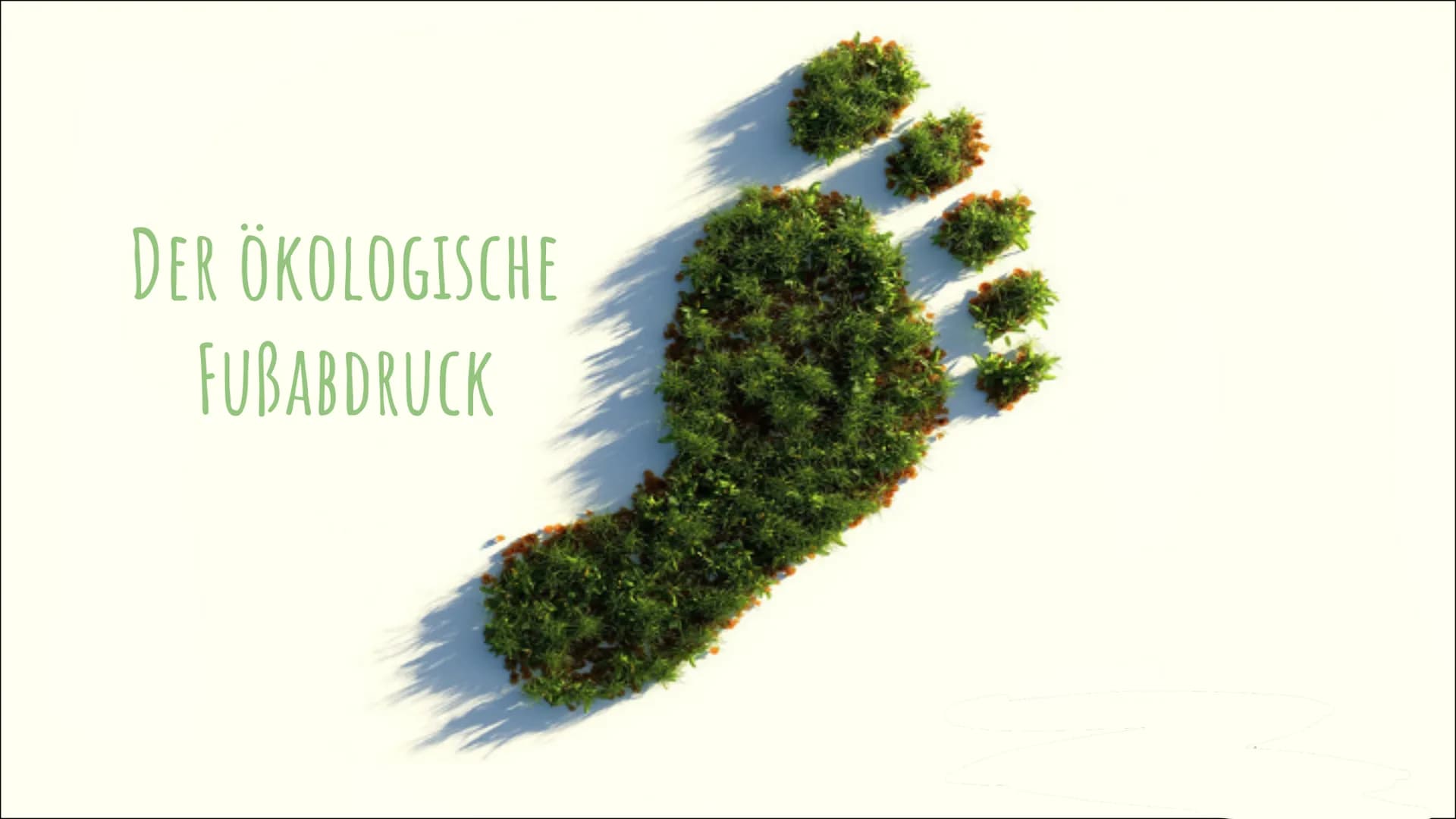 DER ÖKOLOGISCHE
FUBABDRUCK GLIEDERUNG
Definition
• Ökologischer Fußabdruck nach Wackernagel und Rees
• Wie wird der Test gemessen?
Der CO₂ -
