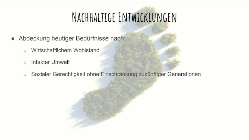 DER ÖKOLOGISCHE
FUBABDRUCK GLIEDERUNG
Definition
• Ökologischer Fußabdruck nach Wackernagel und Rees
• Wie wird der Test gemessen?
Der CO₂ -