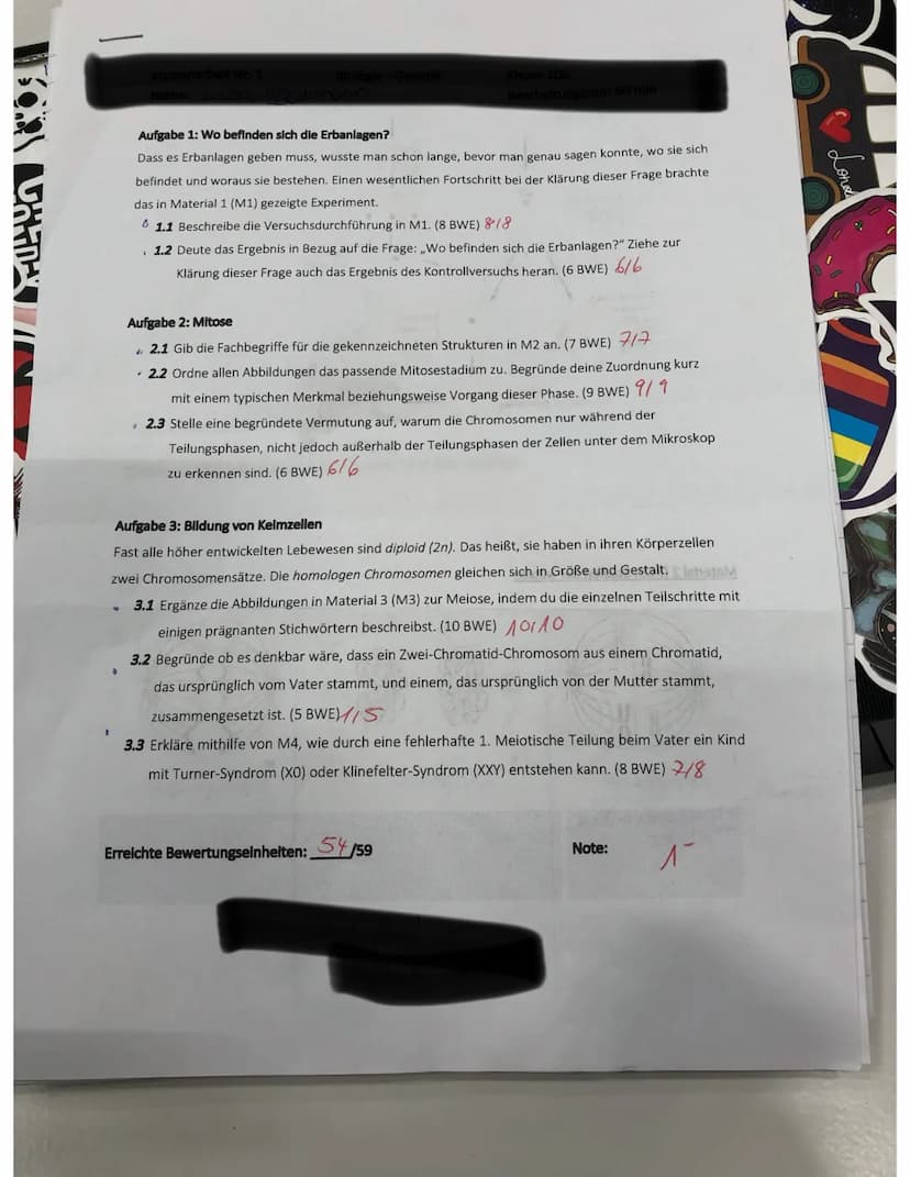 Gooing
betreft
Tal dis
Chanakids
Du when
3.1 1.Prophase I
Kemmembron aufgelast
Spindelapperat bildet sich
mitlerweile Speralisierten homolog