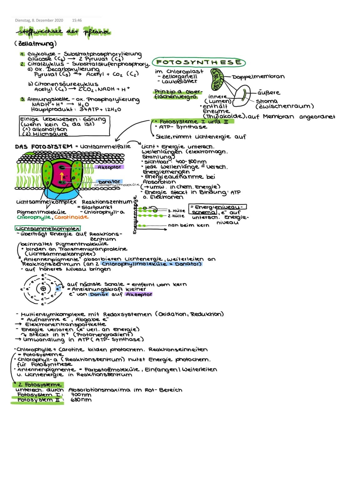 Dienstag, 8. Dezember 2020 15:46
stoffwechsel der pflance
(Zellatmung)
1. Glykolyse -
Glucose (C6) 2 Pyruvat
Substratphosphorylierung
2. Cit