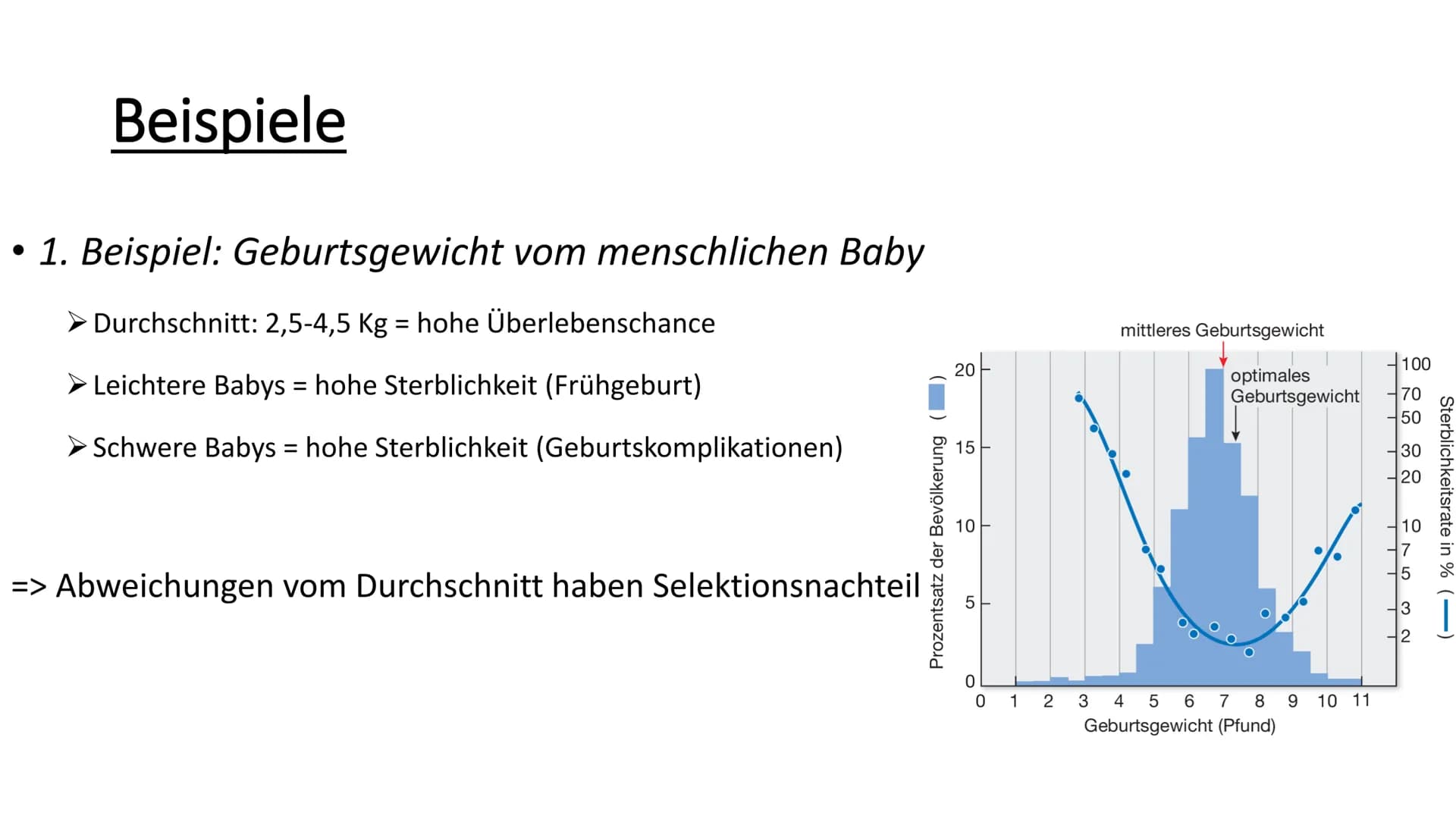 Stabilisierende Selektion
• Selektion = natürliche Auslese
Wichtiger Aspekt der Evolution
Häufigkeit von weniger tauglichen Individuen einer