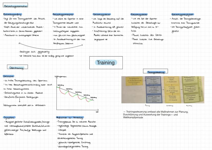 Körperliche Anpassung durch
ein sportliches Training
↓
Alter
↓
Endogene Faktoren
↓
Geschlecht
Trainingszustand
Körperliche Anpassung
↑ ↑ ↑
E