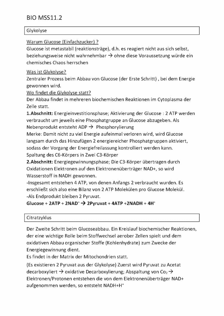 Know Glykolyse und Citratzyklus thumbnail
