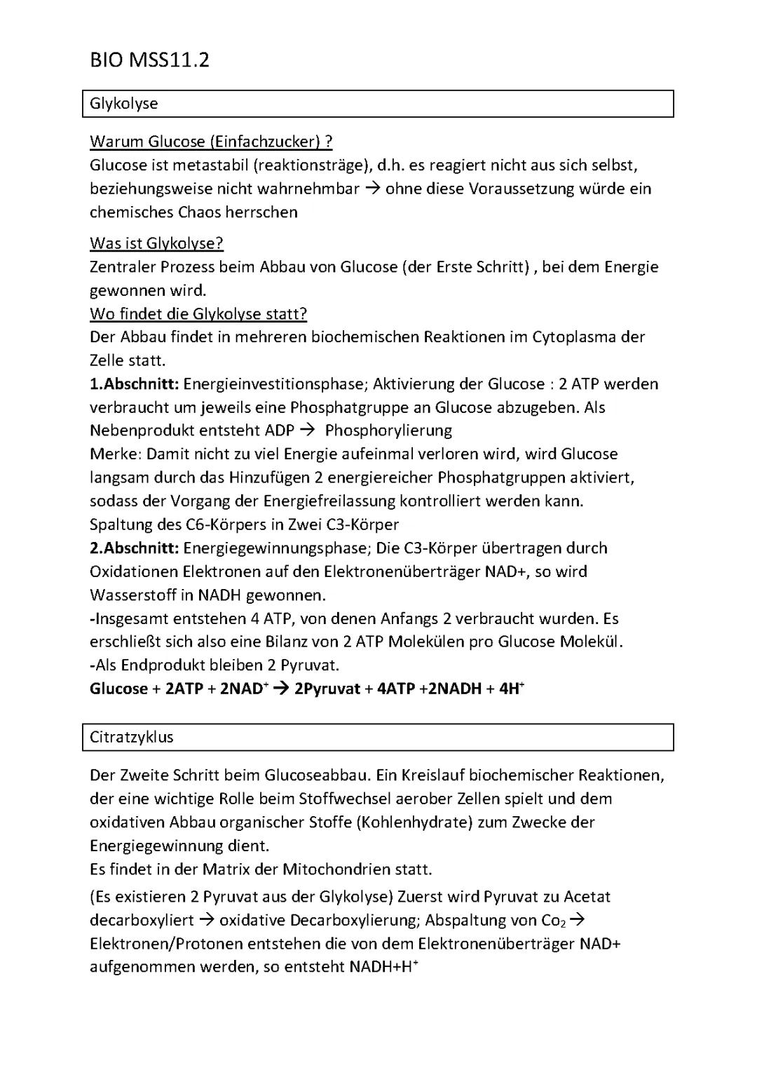 Glykolyse und Citratzyklus einfach erklärt - Ablauf, Bilanz und Reaktionsgleichungen