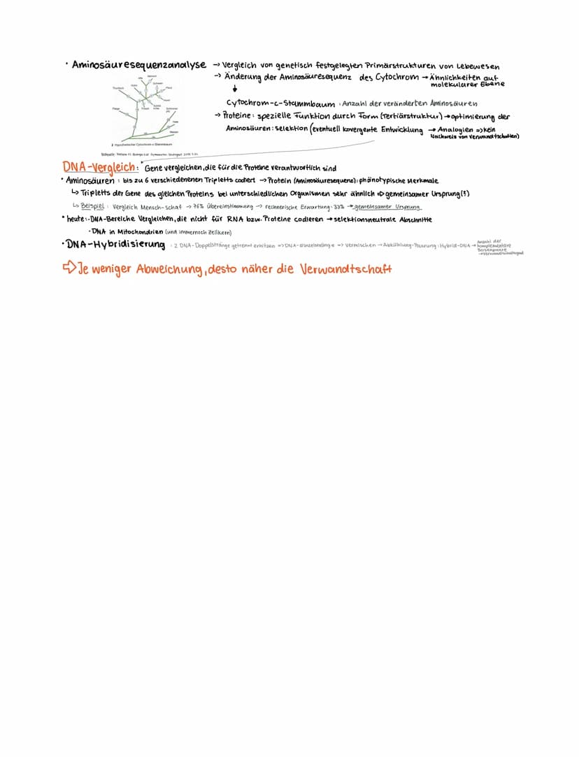 1. Kurzarbeit, Q12/1-Biologie (20.10.2021)
Vorwissen
Evolution Entwicklung"
Vielfalt des Lebens: Biodiversität
- heute vorkommend: rezente A