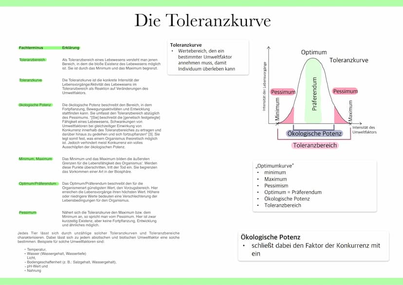Ökologie
Kete han Abiotische Umweltfaktoren
●
Umweltfaktoren
alle Faktoren, welche unbelebt sind und
Lebewesen beeinflussen z.B Licht,
Tempe
