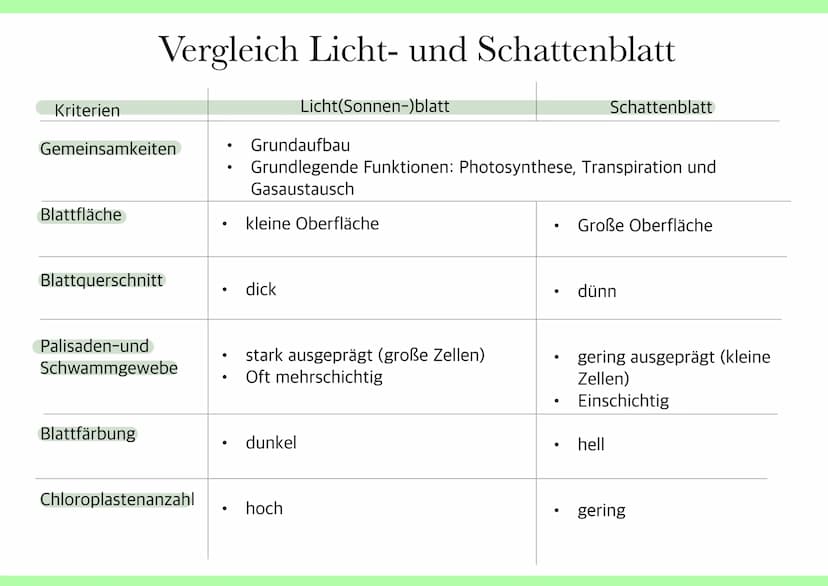 Ökologie
Kete han Abiotische Umweltfaktoren
●
Umweltfaktoren
alle Faktoren, welche unbelebt sind und
Lebewesen beeinflussen z.B Licht,
Tempe
