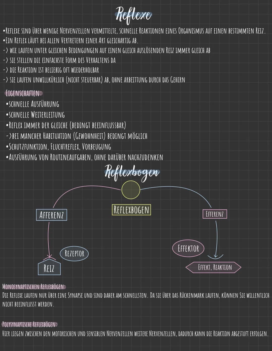 Reflexe
REFLEXE SIND ÜBER WENIGE NERVENZELLEN VERMITTELTE, SCHNELLE REAKTIONEN EINES ORGANISMUS AUF EINEN BESTIMMTEN REIZ.
EIN REFLEX LÄUFT 