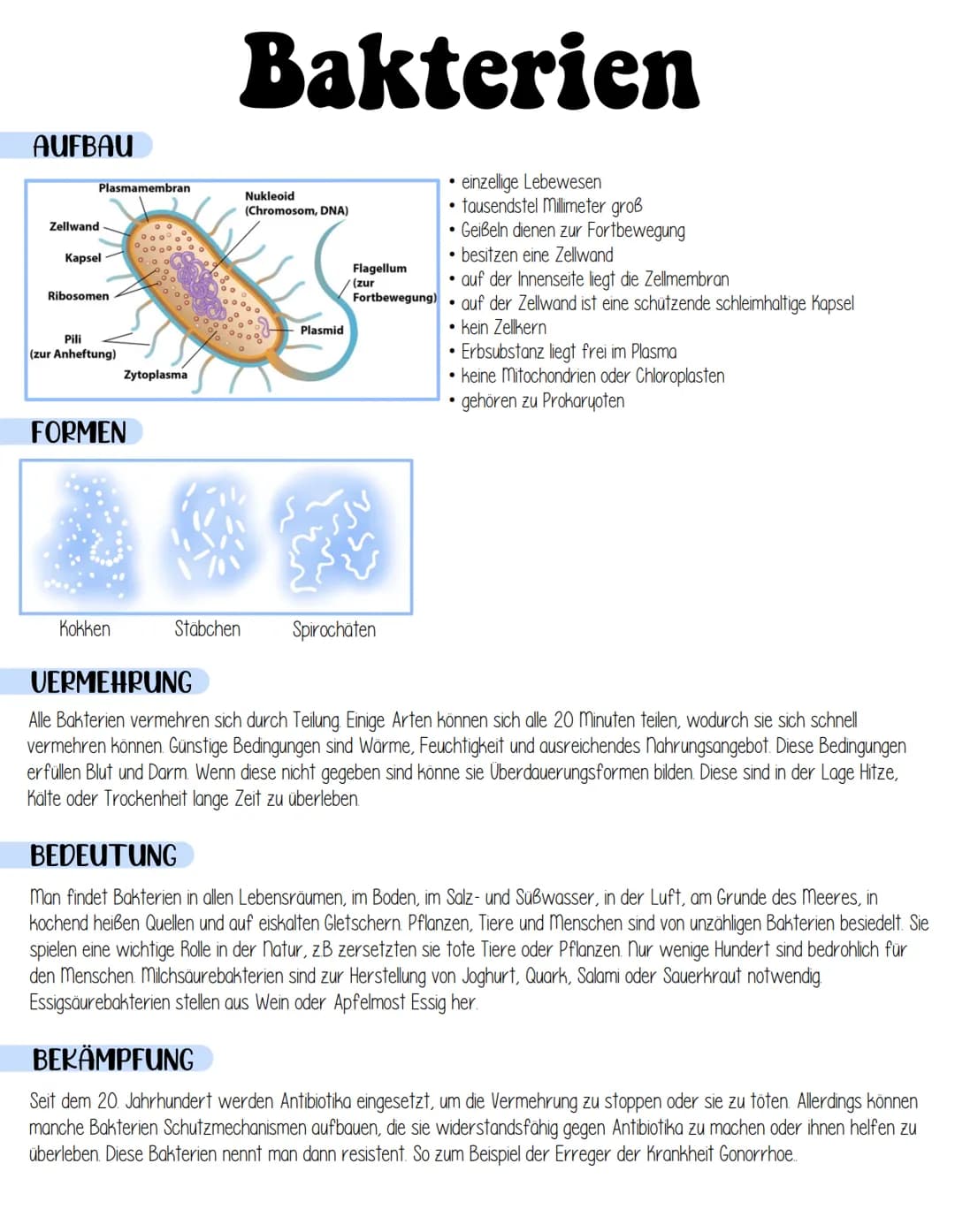 AUFBAU
Zellwand
Plasmamembran
Kapsel
Ribosomen
Pili
(zur Anheftung)
Zytoplasma
FORMEN
Kokken
Bakterien
Nukleoid
(Chromosom, DNA)
Plasmid
Fla