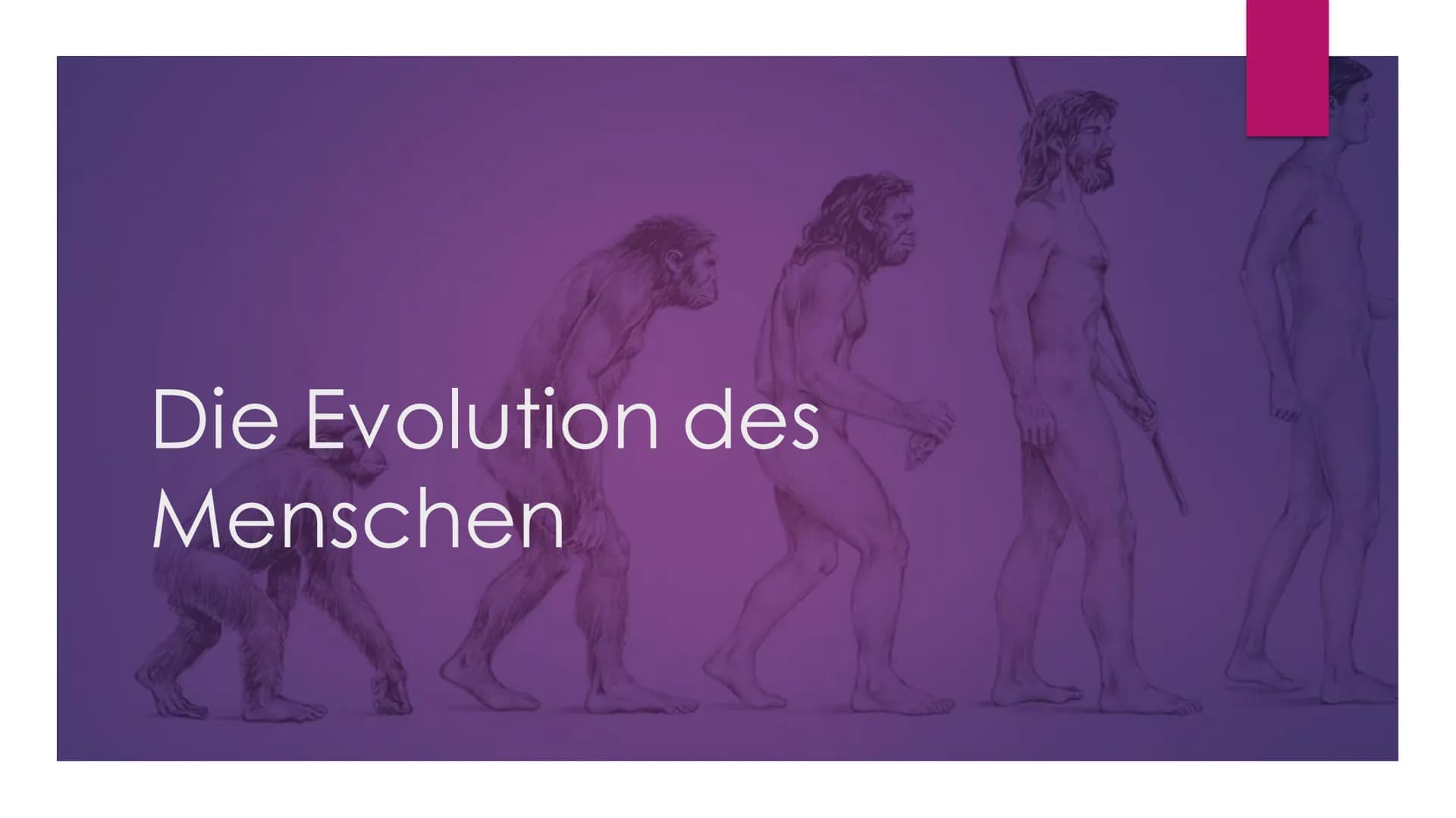 Die Evolution des
Menschen Inhaltsverzeichnis
Die Familie der Menschenaffen
Vergleich der Genetik
Lucy als Brückentier
Entstehung des aufrec