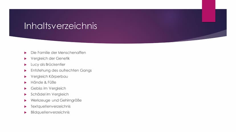 Die Evolution des
Menschen Inhaltsverzeichnis
Die Familie der Menschenaffen
Vergleich der Genetik
Lucy als Brückentier
Entstehung des aufrec