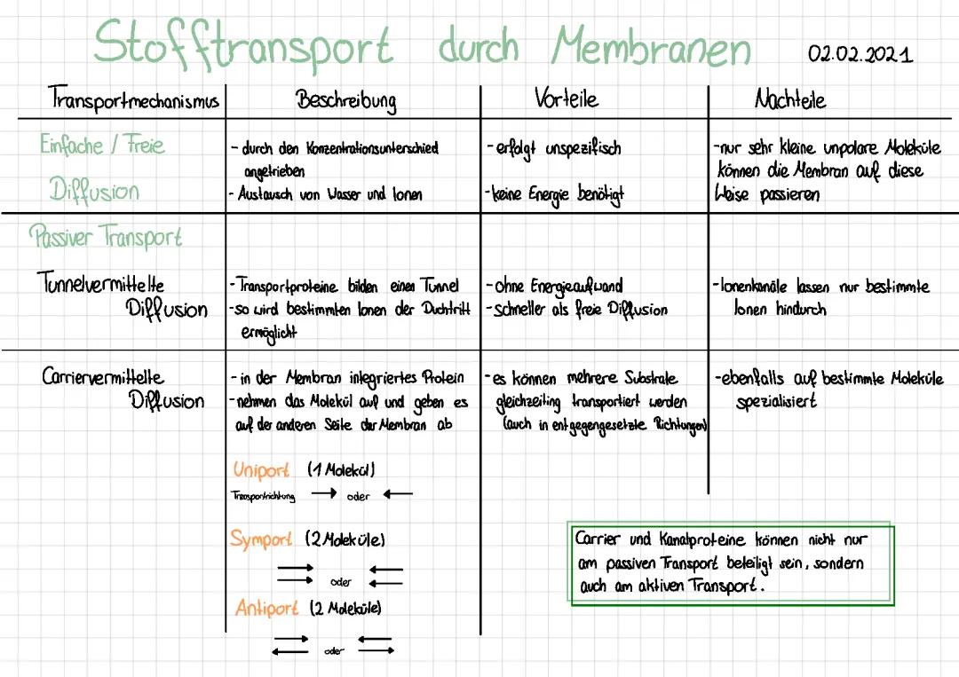 Aktiver und Passiver Transport: Unterschied, Beispiele und Tabellen