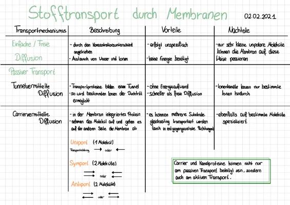 Know Stofftransport durch Membranen  thumbnail