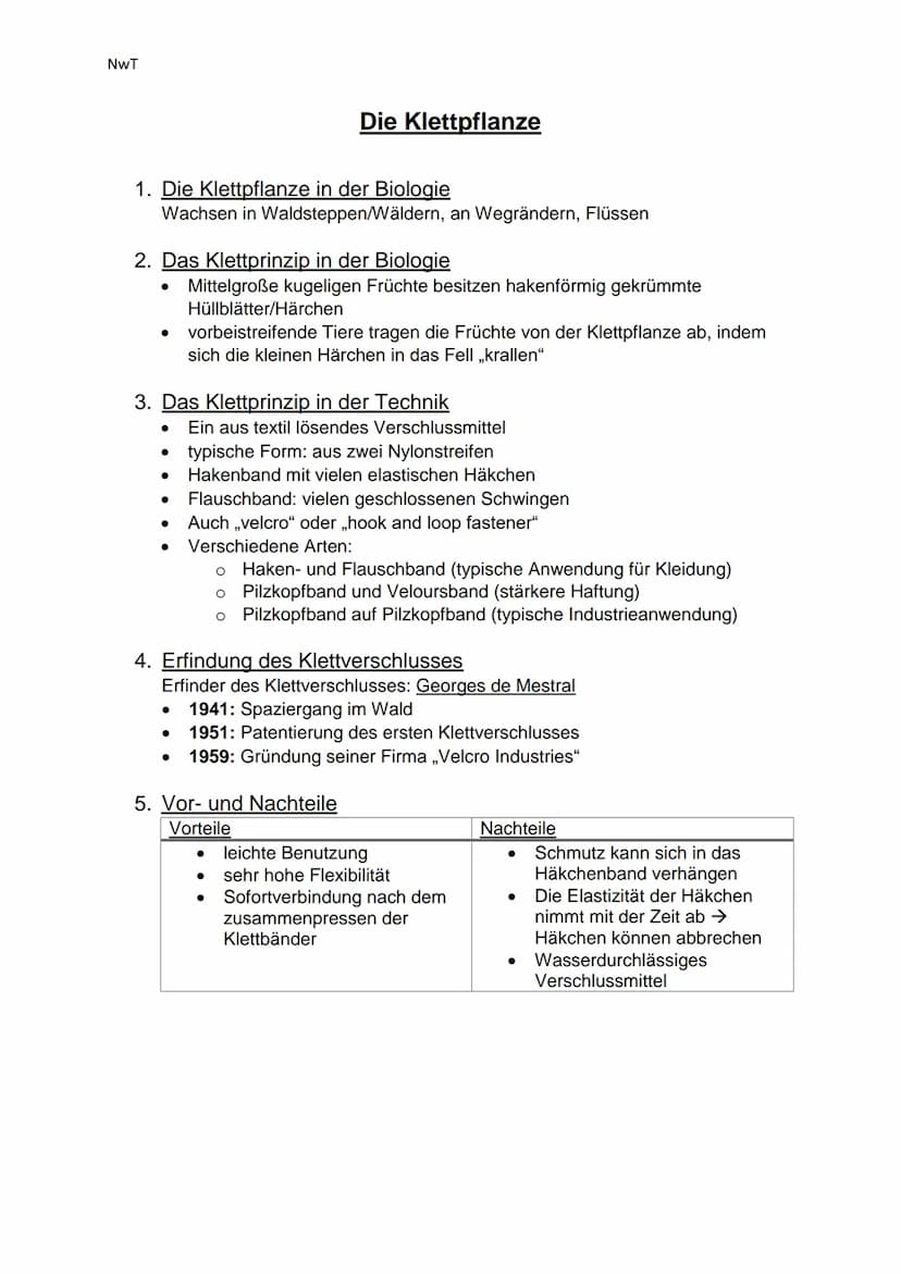  NWT
1. Die Klettpflanze in der Biologie
Wachsen in Waldsteppen/Wäldern, an Wegrändern, Flüssen
2. Das Klettprinzip in der Biologie
●
3. Das