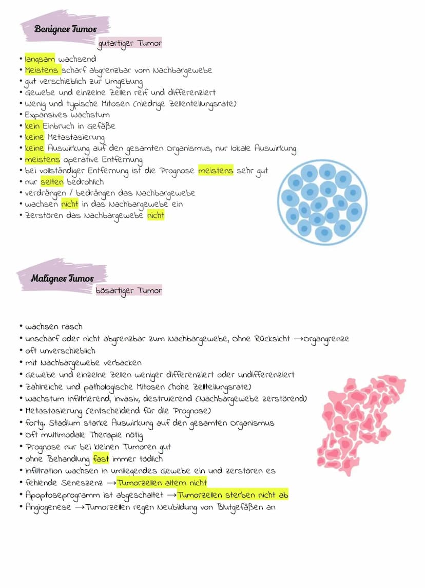 Definition
• ist eine Geschwulst
• Eine pathologische Zellansammlung durch überschießendes, unangenehmes wachstum körpereigener
Zellen
Form
