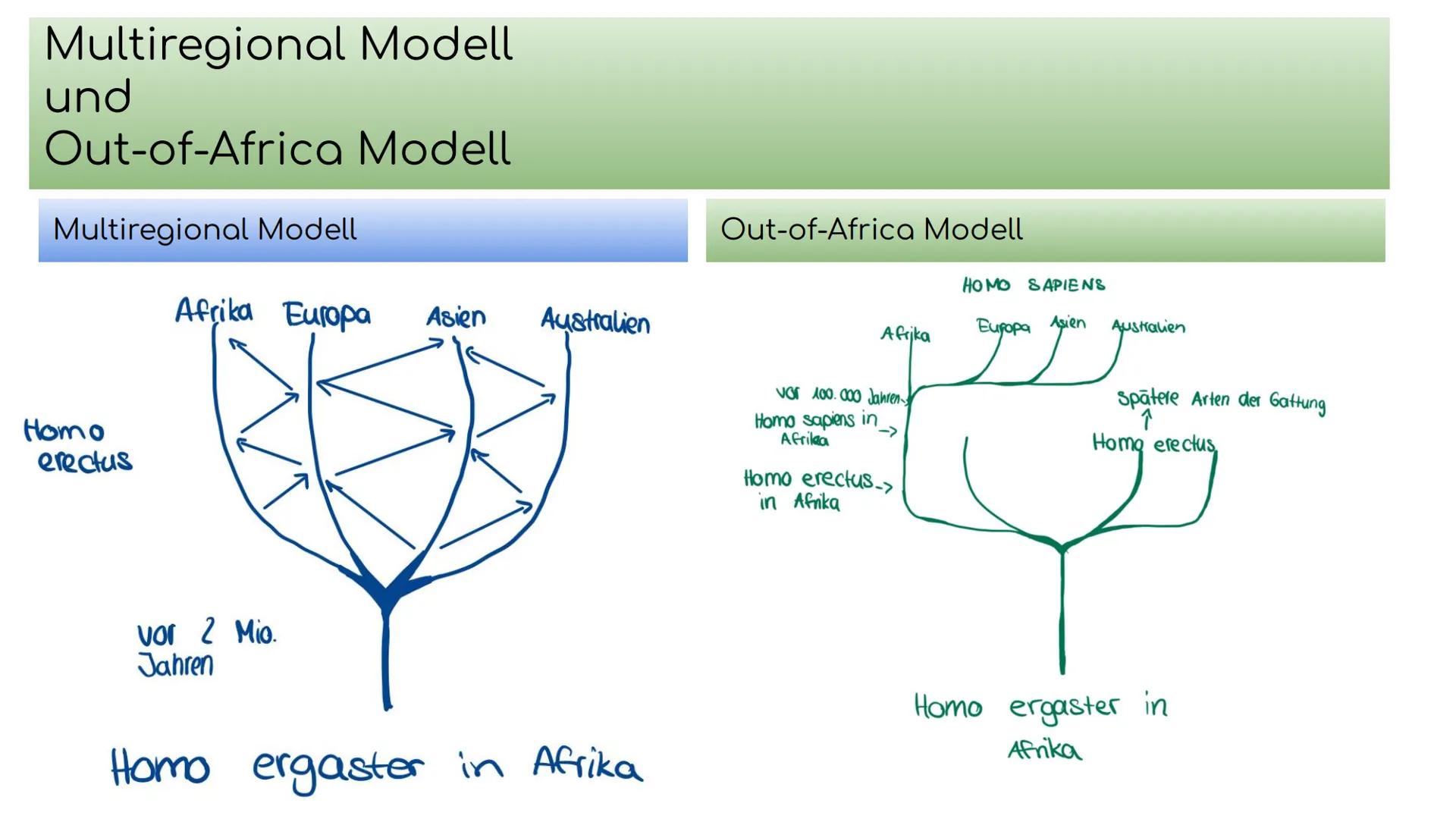 Out of Africa - Modell
Von Olivia und Anna Inhalt
Out of Africa Modell
Definition
Ausbreitung
Migrationsrouten
Wie wird das Modell gestützt
