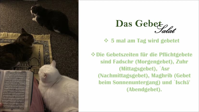 Islam
Präsentation von Iman und Schugufa
- BOSE BR Inhaltsverzeichnis
Die Geschichte und die Entstehung des
Islams
+
--
Unser Gott
Die Proph