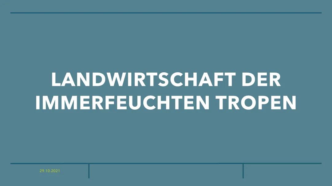 Die Folgen der Abholzung des Regenwaldes: Ursachen und Statistiken erklärt