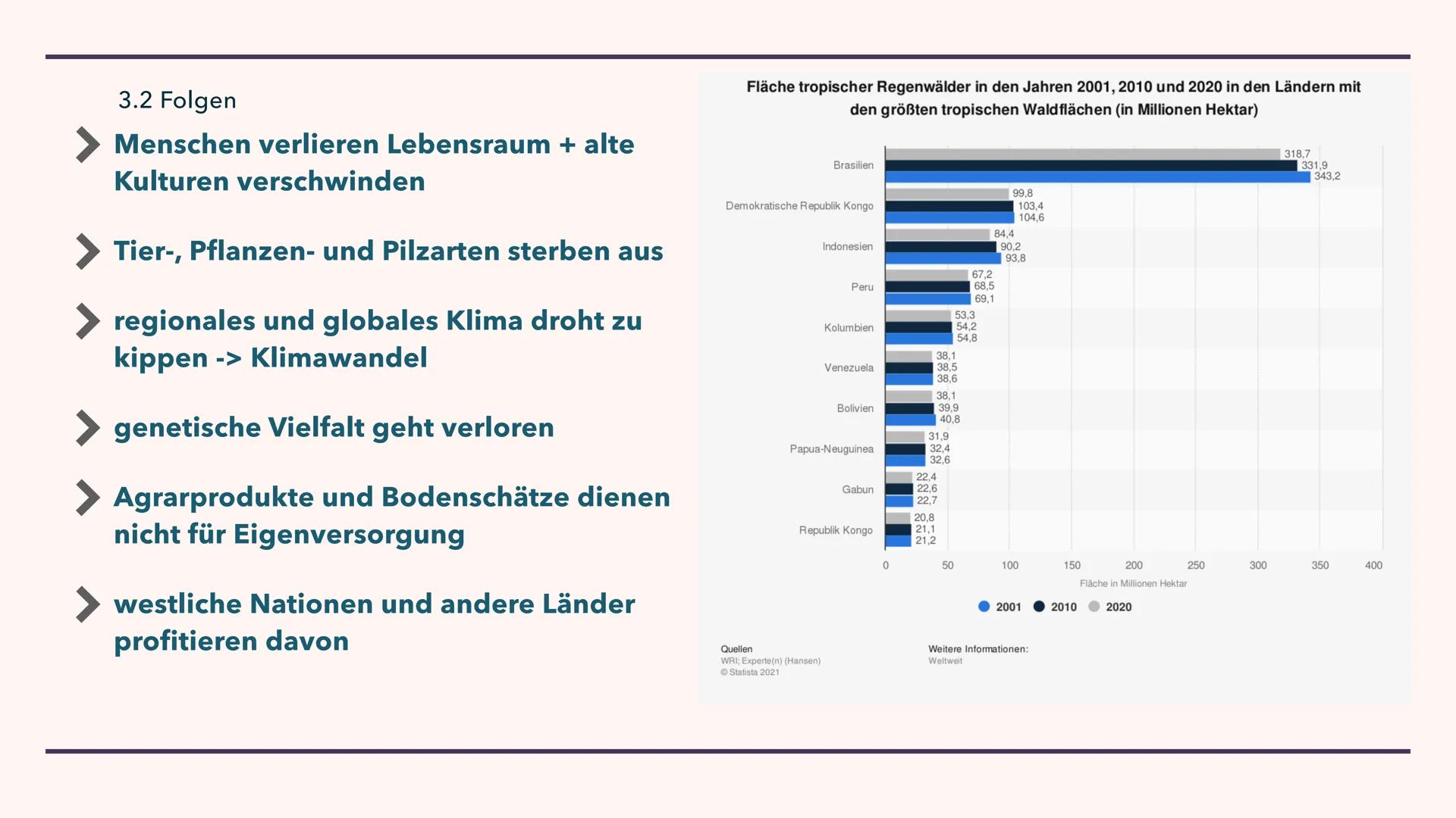 LANDWIRTSCHAFT DER
IMMERFEUCHTEN TROPEN
29.10.2021 GLIEDERUNG
1. Brandrodungswanderfeldbau
2. Potenziale/ Probleme des Ananasanbaus in Costa