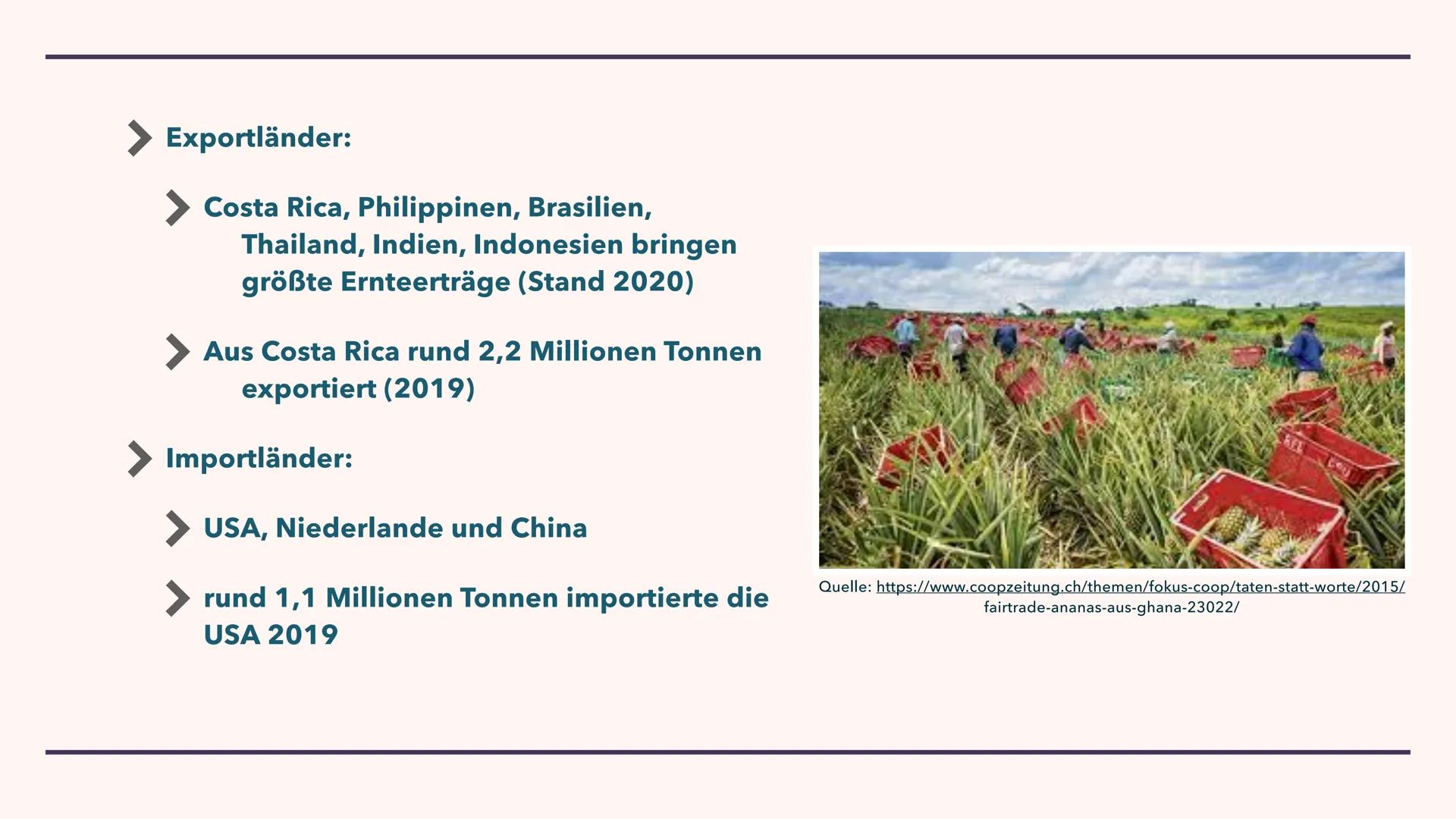 LANDWIRTSCHAFT DER
IMMERFEUCHTEN TROPEN
29.10.2021 GLIEDERUNG
1. Brandrodungswanderfeldbau
2. Potenziale/ Probleme des Ananasanbaus in Costa