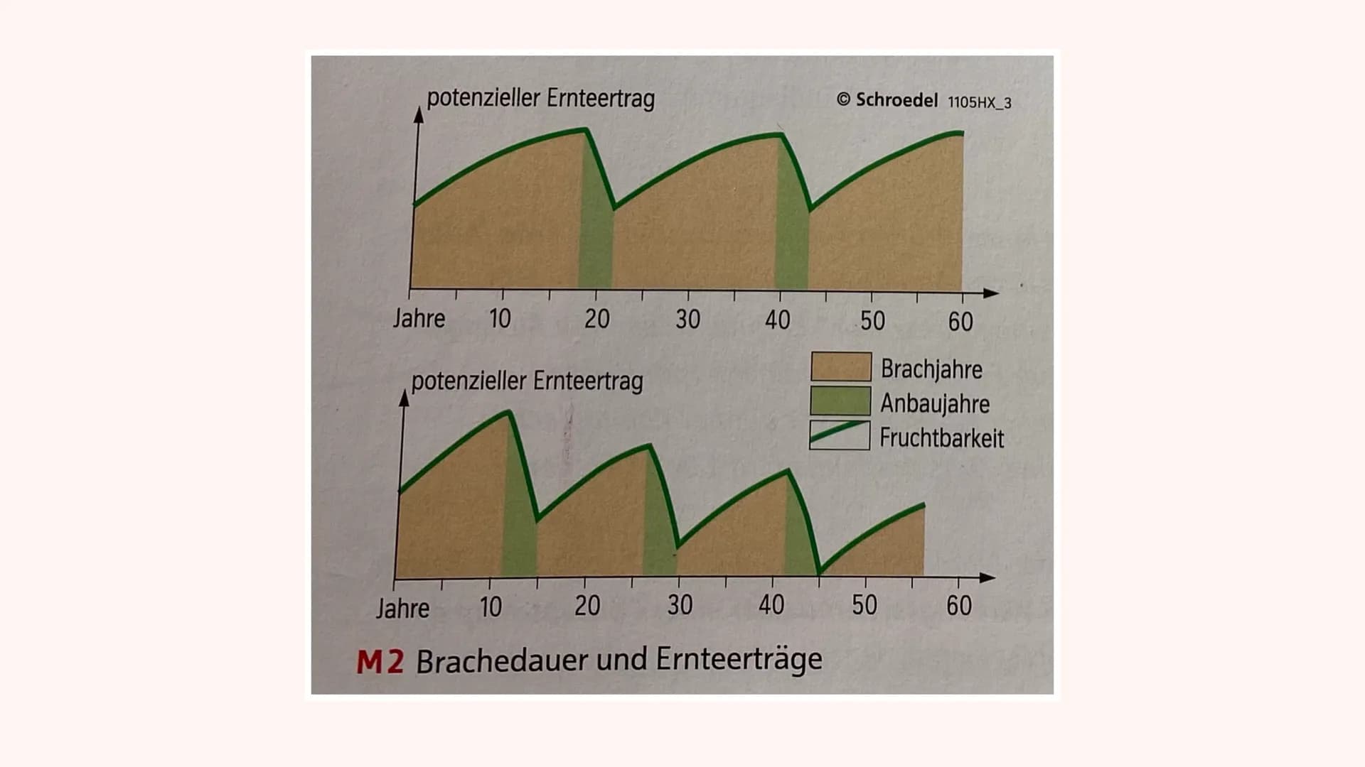 LANDWIRTSCHAFT DER
IMMERFEUCHTEN TROPEN
29.10.2021 GLIEDERUNG
1. Brandrodungswanderfeldbau
2. Potenziale/ Probleme des Ananasanbaus in Costa