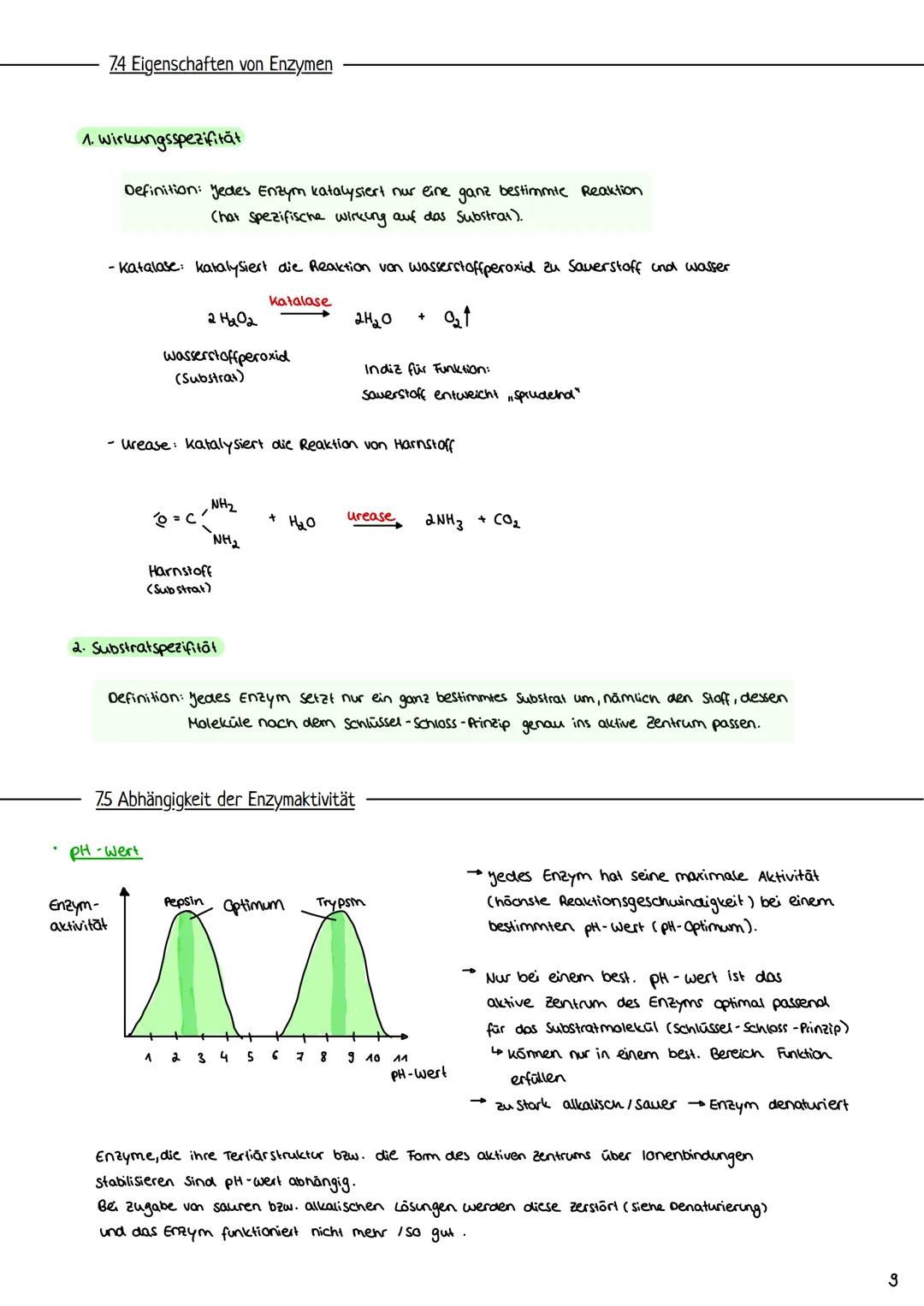 
<p>Naturstoffe</p>
<p>Als Kohlenhydrate werden Monosaccharide, Disaccharide und Polysaccharide bezeichnet. Diese organischen Verbindungen b