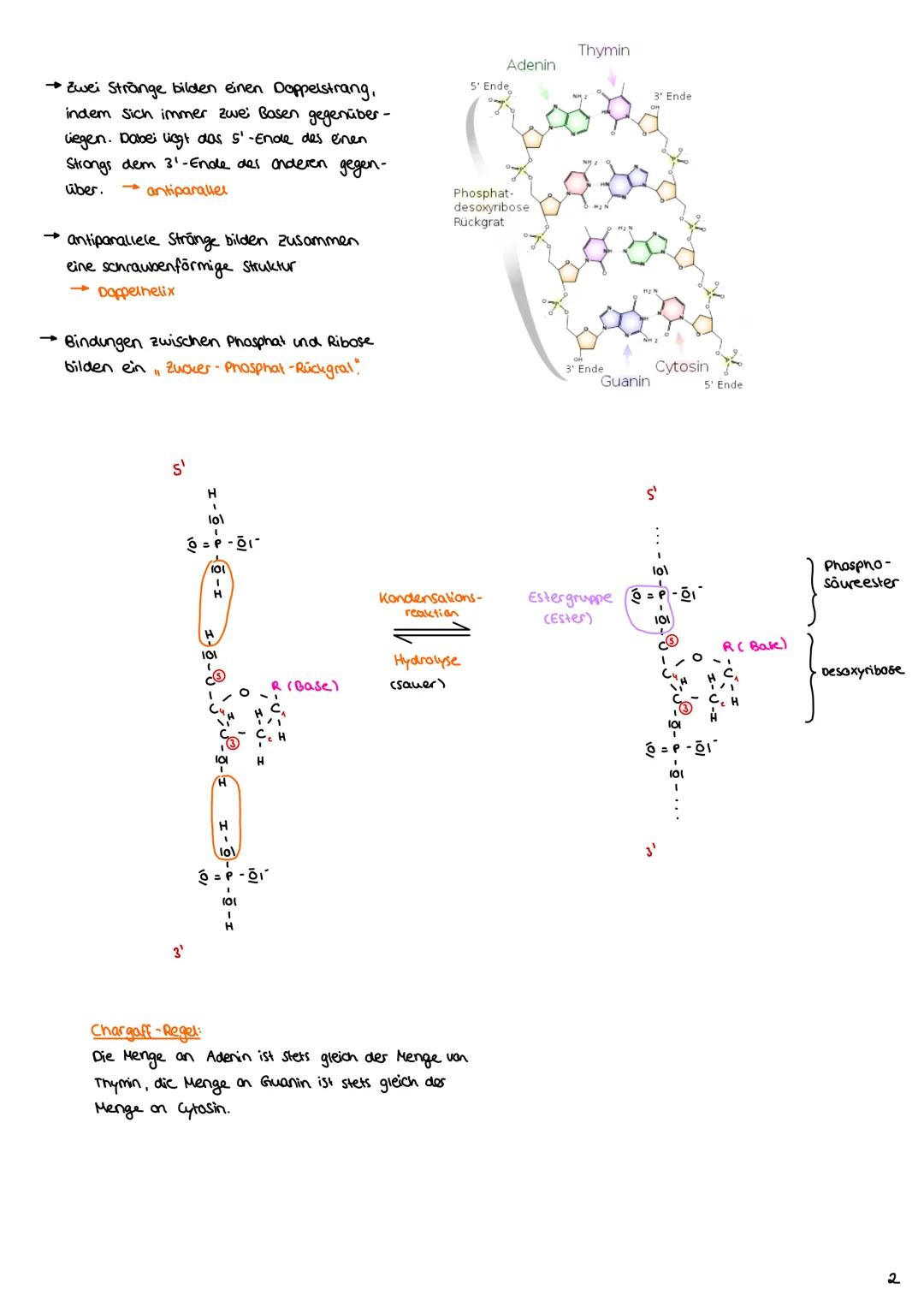 
<p>Naturstoffe</p>
<p>Als Kohlenhydrate werden Monosaccharide, Disaccharide und Polysaccharide bezeichnet. Diese organischen Verbindungen b